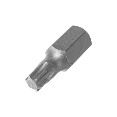 Вставка T40 10x30 мм GT1Y030 - Horex