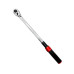 Вороток моментный с трещоточным механизмом 40-220 Hм 1/2" HorexHZ 27.1.052W - Horex