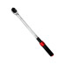 Вороток моментный с трещоточным механизмом 40-220 Hм 1/2" HorexHZ 27.1.052W - Horex