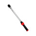 Вороток моментный с трещоточным механизмом 40-220 Hм 1/2" HorexHZ 27.1.049W - Horex