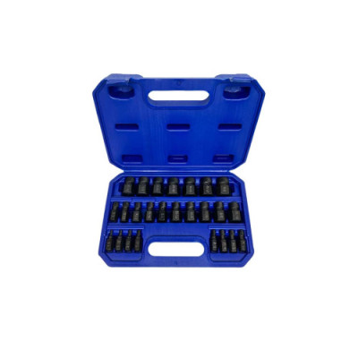 Набор экстракторов, 25 предметов ГАММАТЕСТ GT1Y096 - Horex